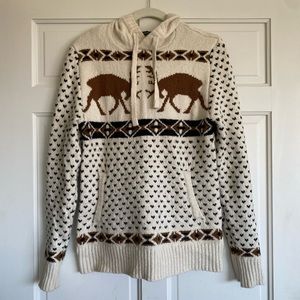 American Eagle Elk Fair-isle Sweater